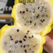 海南燕窝果果园直发各平台一件代发，批发！