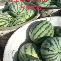 美都