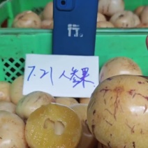 云南树熟人参果（一件代发）
