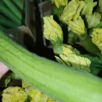 鲜花丝瓜