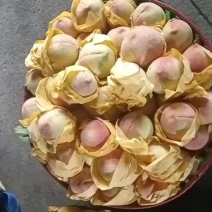 水蜜桃