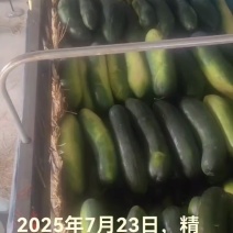 品质**货，物美价廉！欢迎各位老板前来选购！