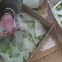 广西香蕉，5万斤起订，产地直发，欢迎咨询