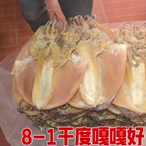 特大墨鱼8-1