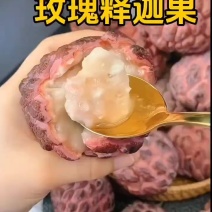 海南释迦果批发全国发货