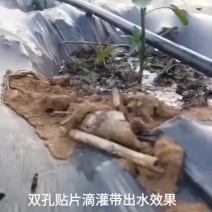 滴灌带1630间距