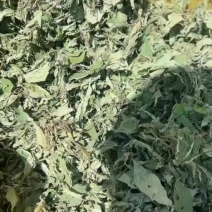 野苏子叶干韩餐的好伴侣