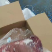 猪肝