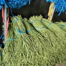 青白条豆角大量有货，要货的老板可视频看货，腌制，烘干都有