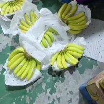 香蕉