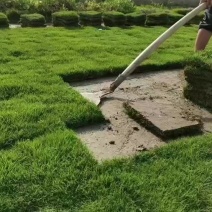 马力拉