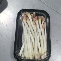 只做精品