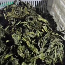 湿芝麻叶