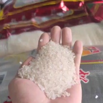 沈阳国标一级珍珠米1.87（含彩包）上门现货现提