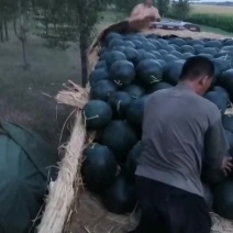 东北黑地雷西瓜东北西瓜大西瓜地雷瓜吉林西瓜大量上市