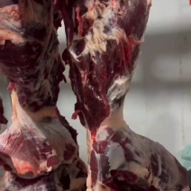 纯干无水牛肉，牛腿肉