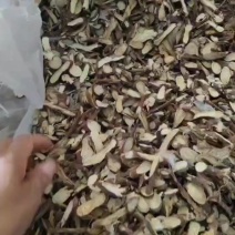 甘草棍棍