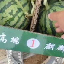 精品麒麟西瓜
