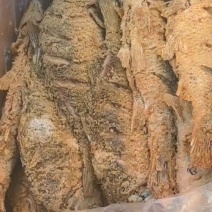 油炸大鲤鱼