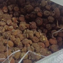 刺梨子贵州铜仁刺梨干自然晾晒一手货源产地直