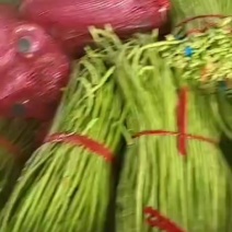 精品豆角