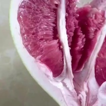 三红柚