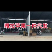 【电商一件代发】山西嘎啦苹果一级果，支持各大平台代发