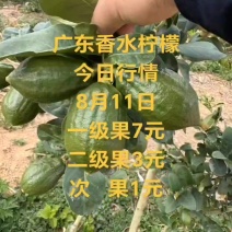 广东香水柠檬