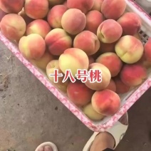 十八号桃