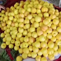 黄局油