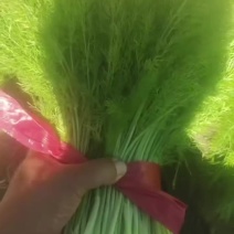 茴香有货4元