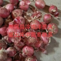 大量现货