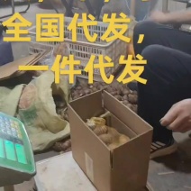 8520芋头上市，价格便宜，货源充足，一件代发，全国包邮