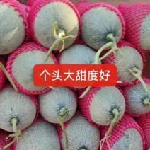 哈密瓜