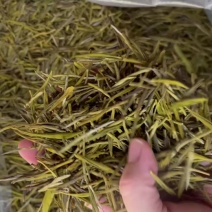 黄金芽批发