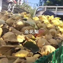 金花梨