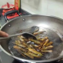 广东清远北江河鲜刀蚬长期