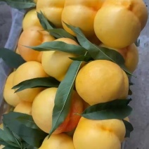 精品黄油糖高