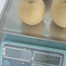 梨好吃亮