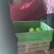 精品青茄