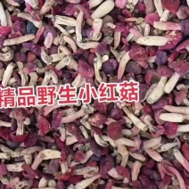 野生菌红菇***********