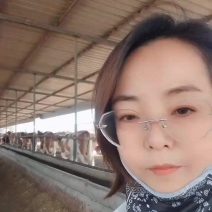 今年养公牛都挣到钱了，想补栏的入行的，联系哦