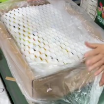 秋月梨