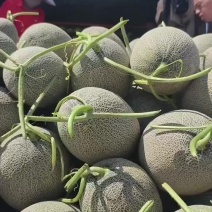 哈密瓜