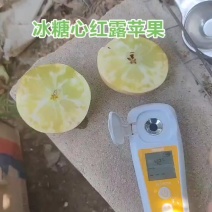 美八苹果冰糖心红露苹果，黄元帅，将军苹果，电商团购手选