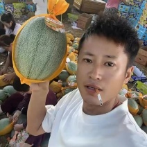 哈密瓜