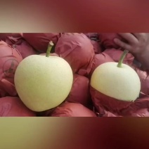 皇冠梨