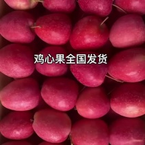 鸡心果产地直发辽宁出货量大价美丽出口电商老客代收