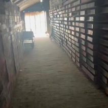 寻找黄粉虫养殖兴趣的合作伙伴