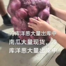 惠民成哥蔬菜水果经营部